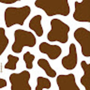 Meet your Posher, Amelia